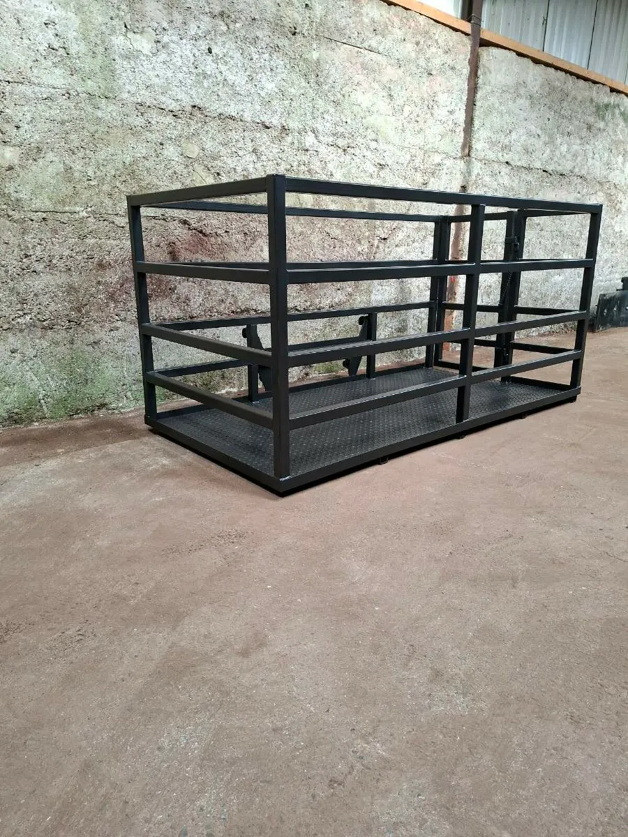 Pinnacle Fabrication Man Basket/ Calf Transporter - Image 4