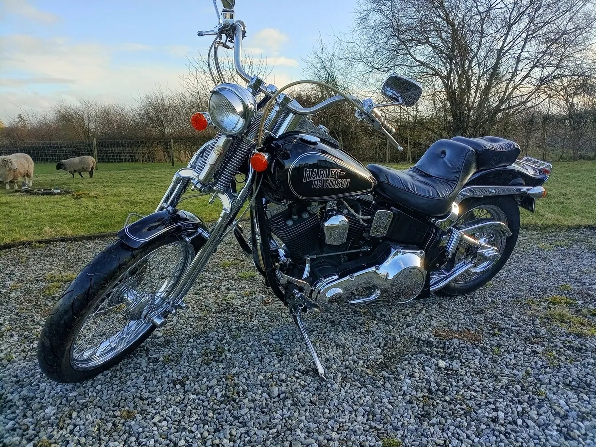 93 Harley Davidson springer Softail Evo - Image 2