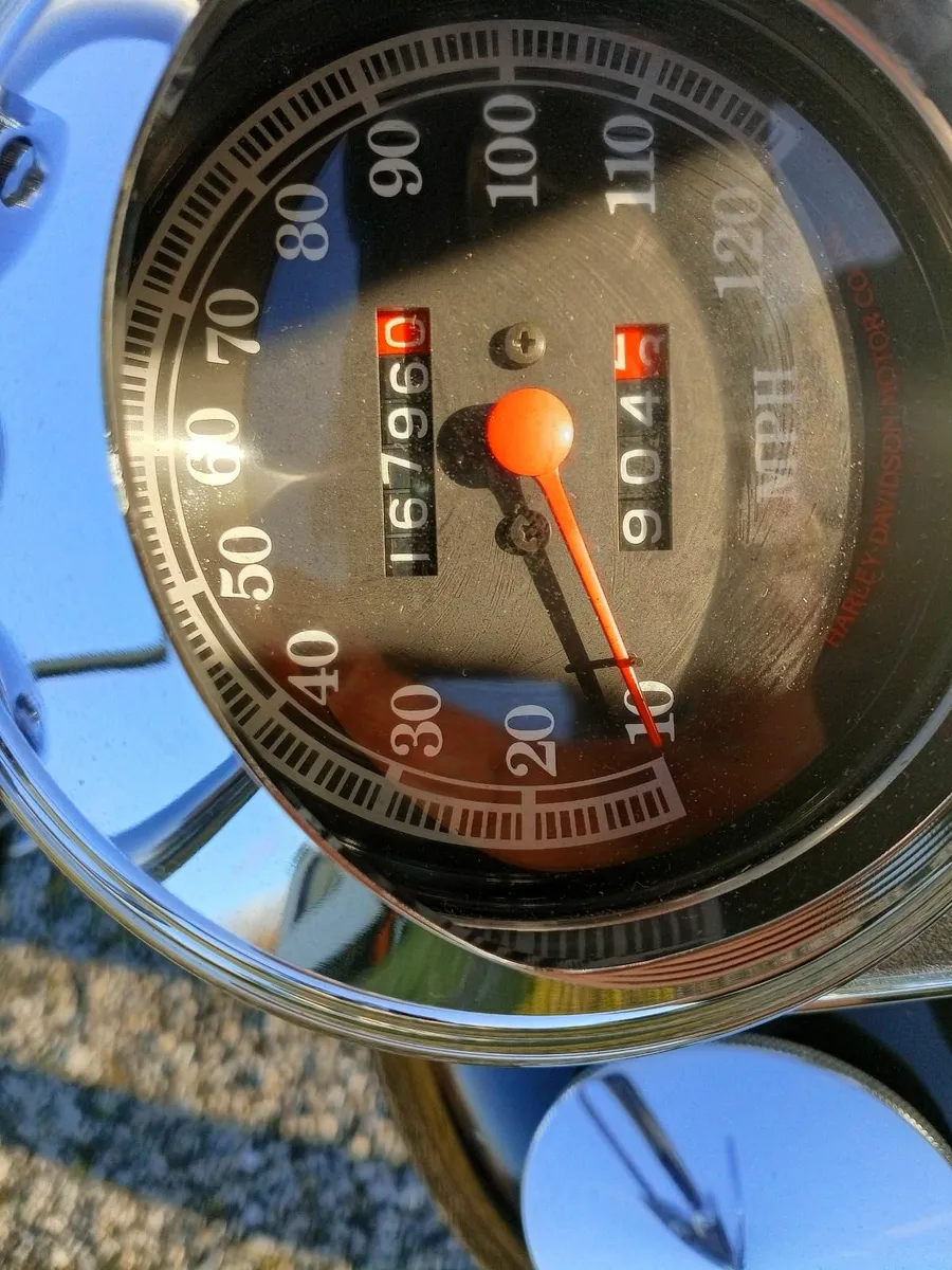 93 Harley Davidson springer Softail Evo - Image 3