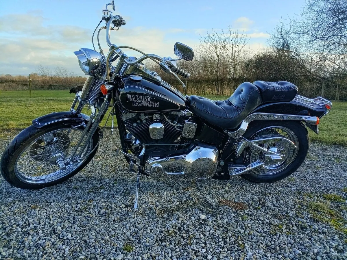 93 Harley Davidson springer Softail Evo - Image 1