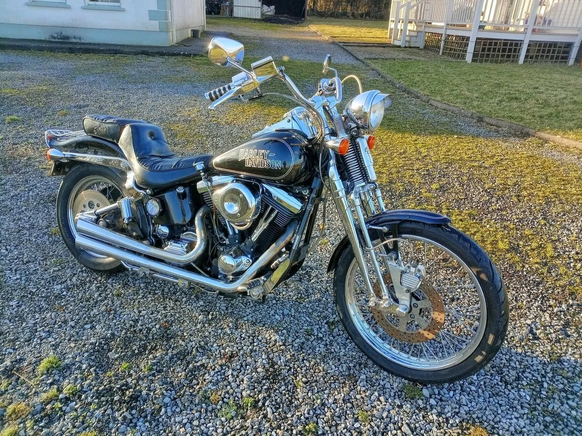 93 Harley Davidson springer Softail Evo - Image 2