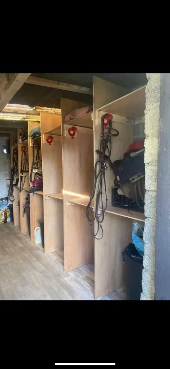 Livery €50 - Image 3