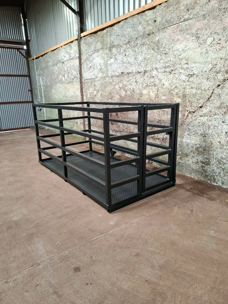 Pinnacle Fabrication Man Basket/ Calf Transporter - Image 2