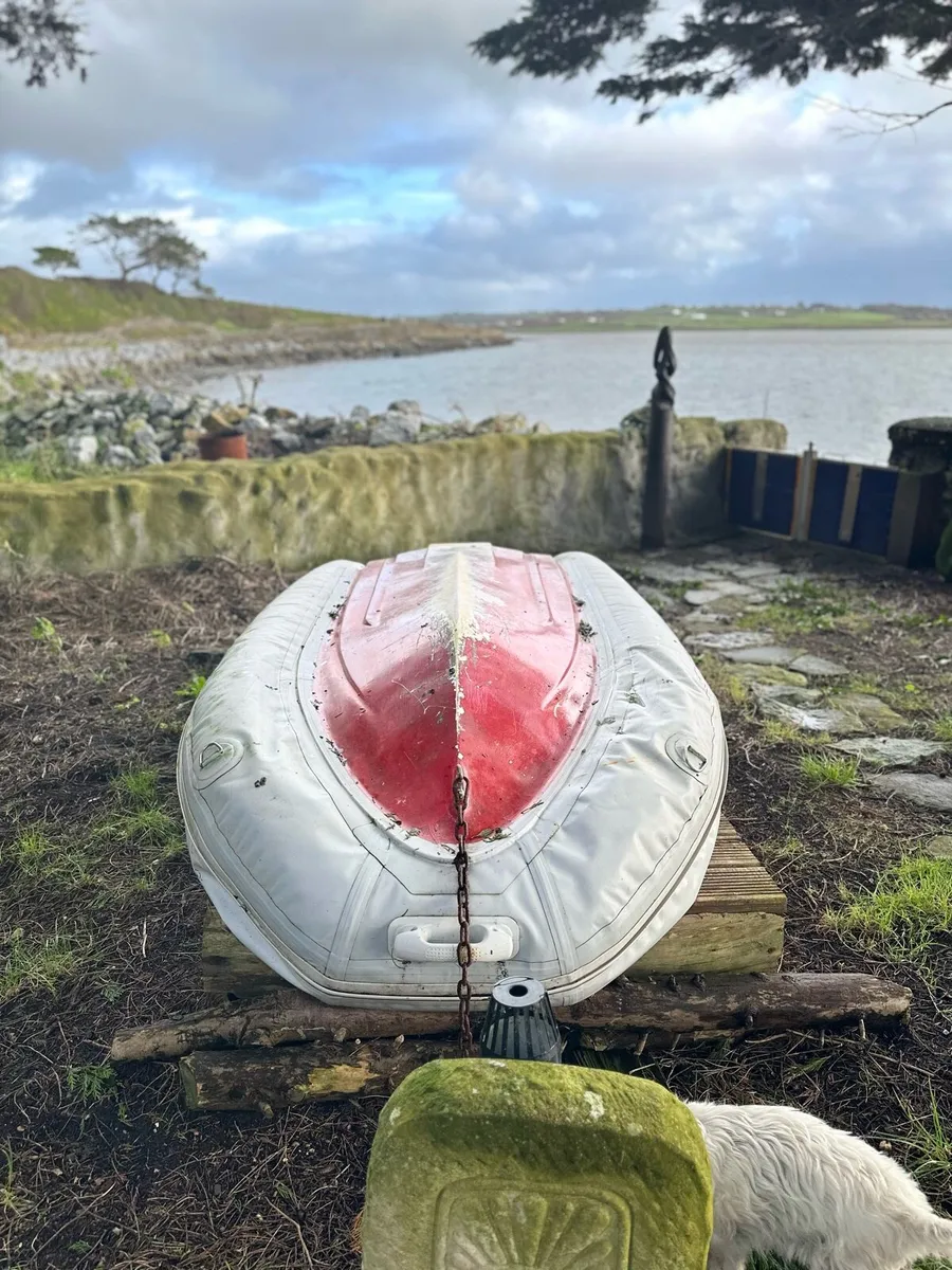 310 Fiberglass inflatable boat 3 person - Image 4