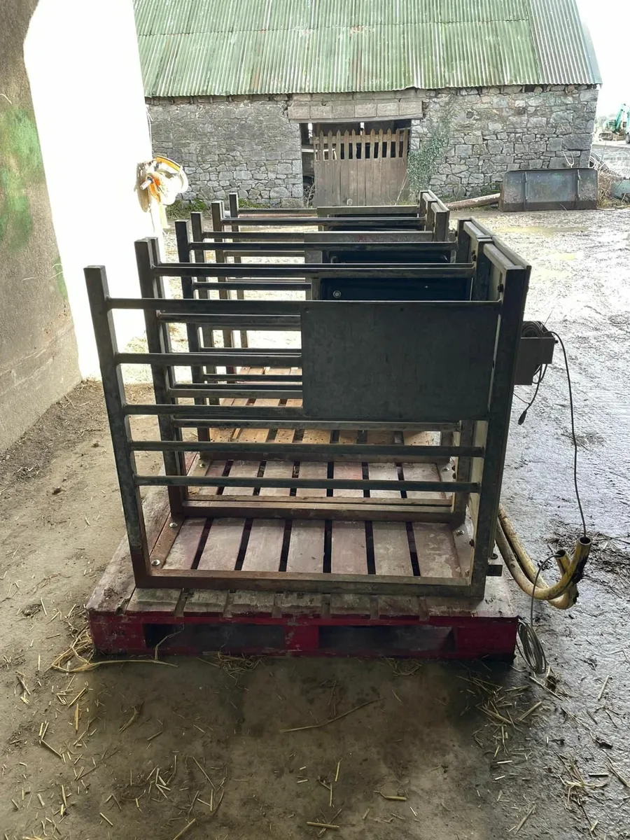 Foster Technik Calf Feeder - Image 3