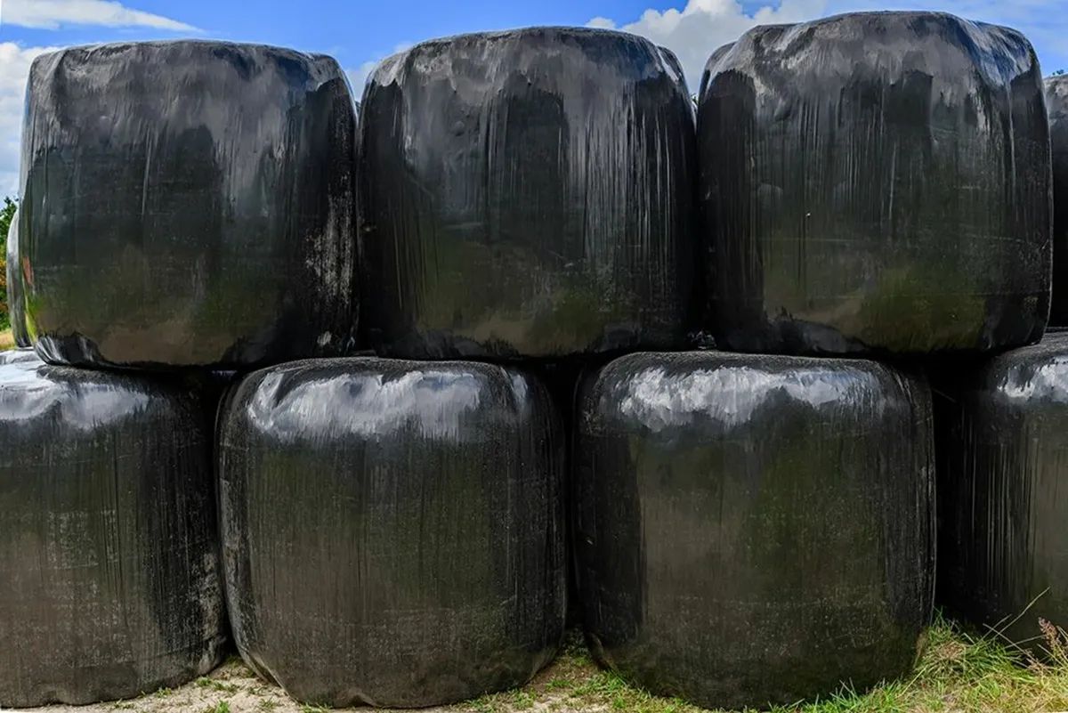 Top quality silage bales
