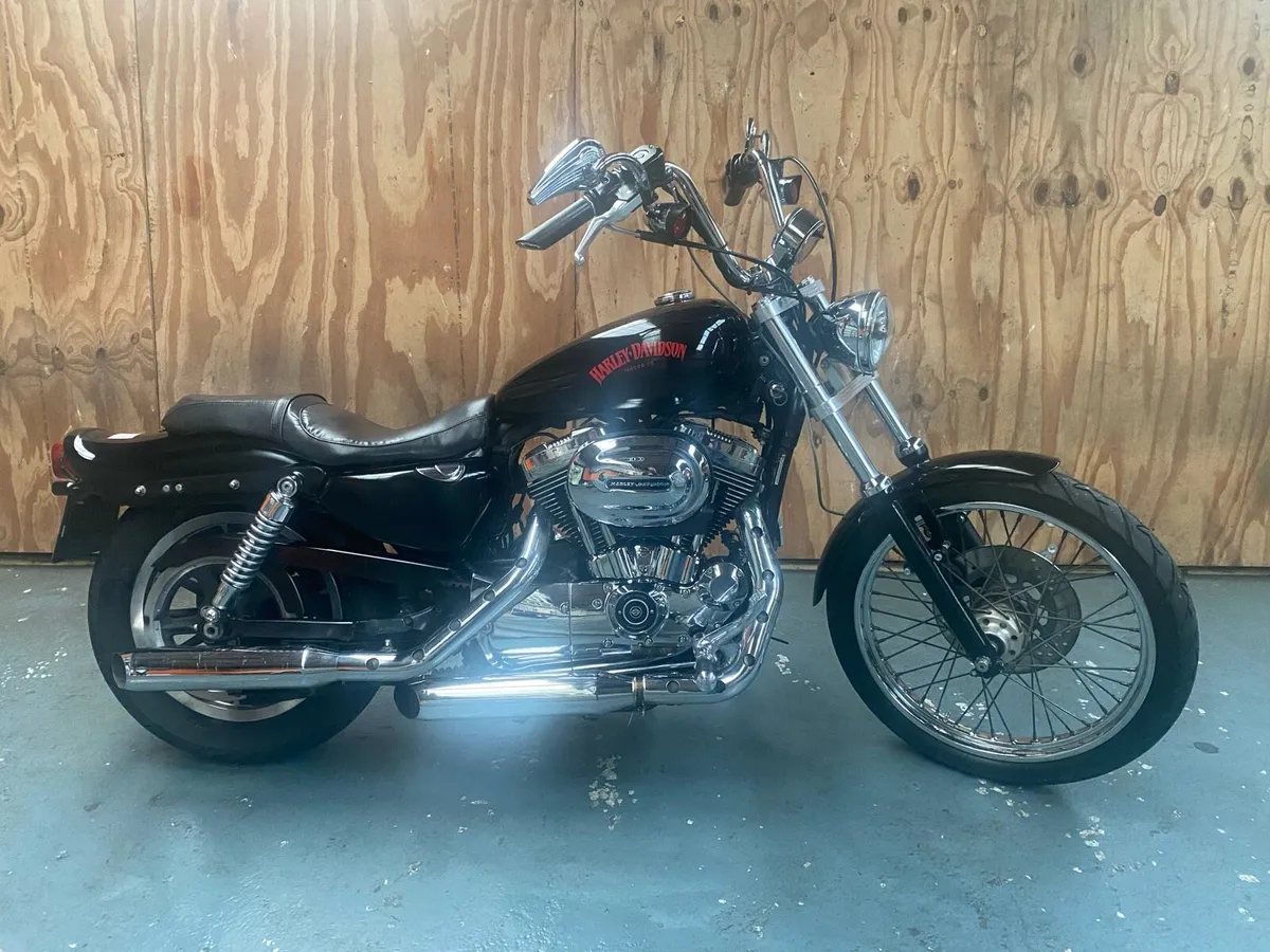 Harley Davidson Sportster XL1200 Custom - Image 2