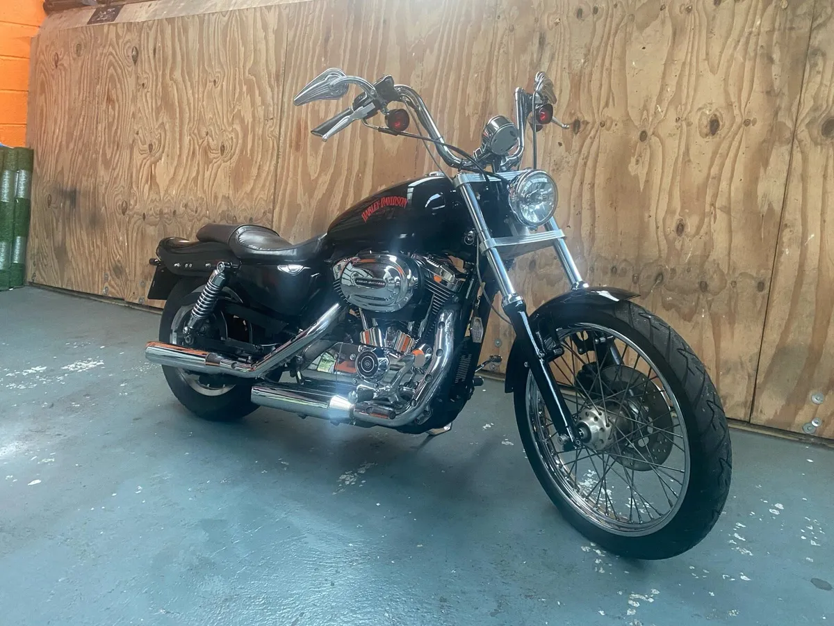 Harley Davidson Sportster XL1200 Custom - Image 1
