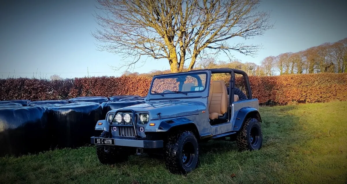 Jeep Wrangler 4.0 R6 petrol - Image 4