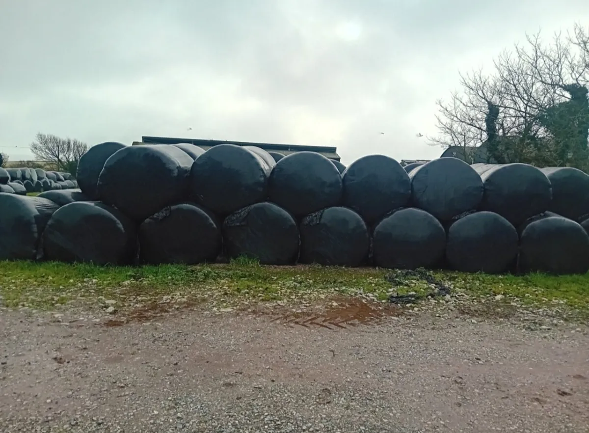 Silage bales