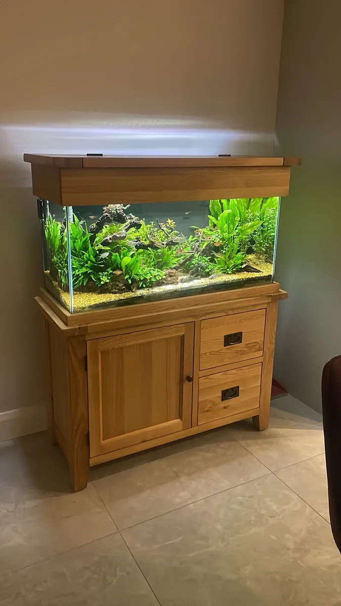 200 LTR Solid Oak Aquarium - Image 1