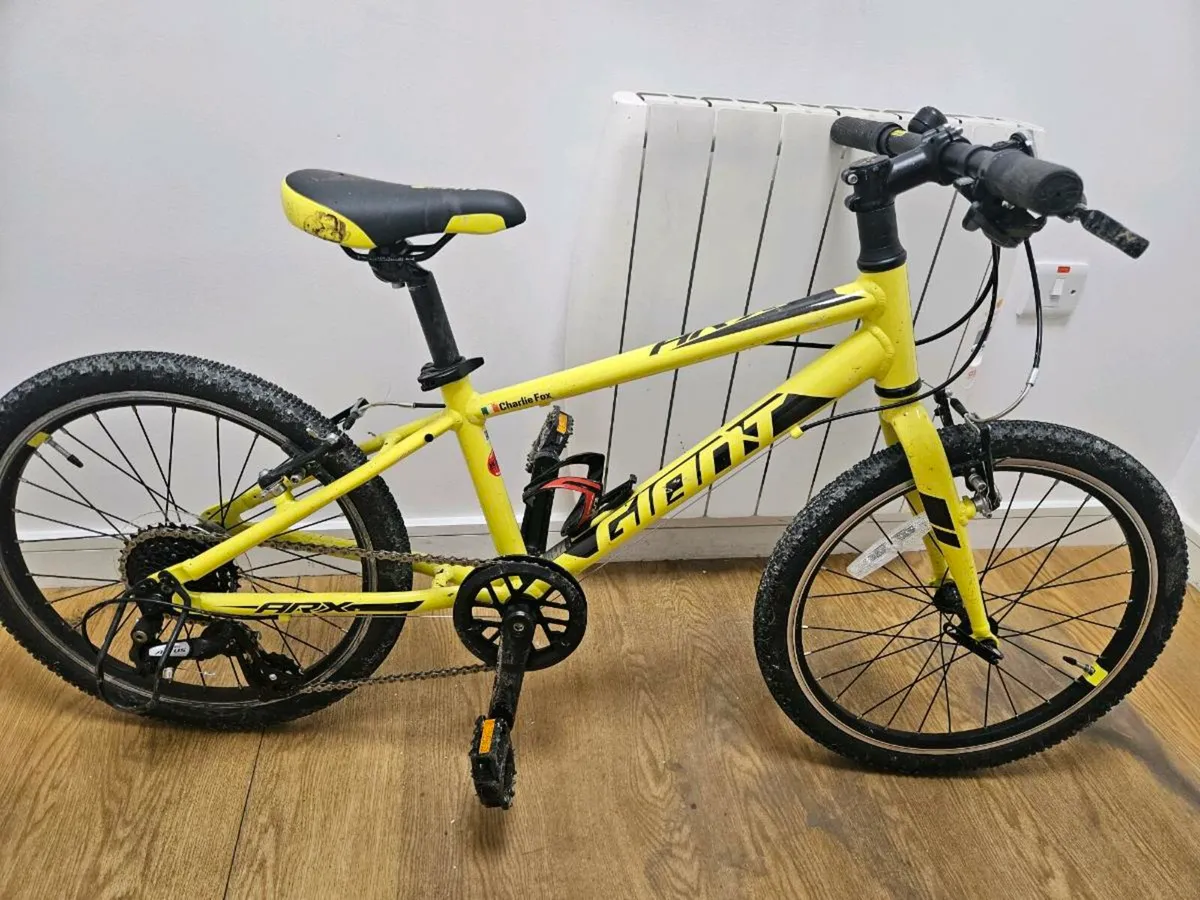 Giant Arx, Kids 20" Bicycle - Image 1