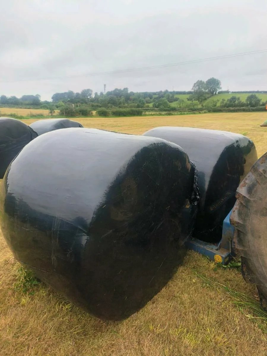 Silage for sale - Image 2
