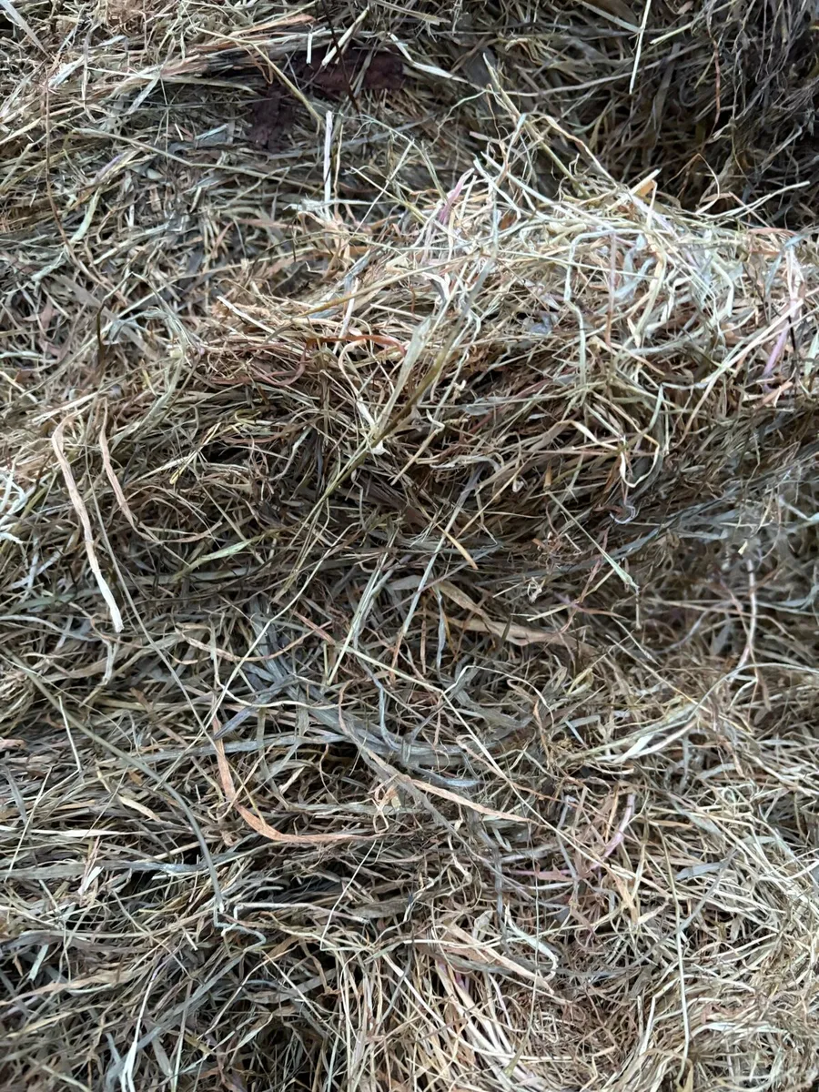 Silage for sale - Image 2