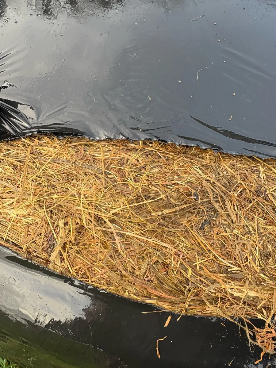 Silage for sale - Image 4