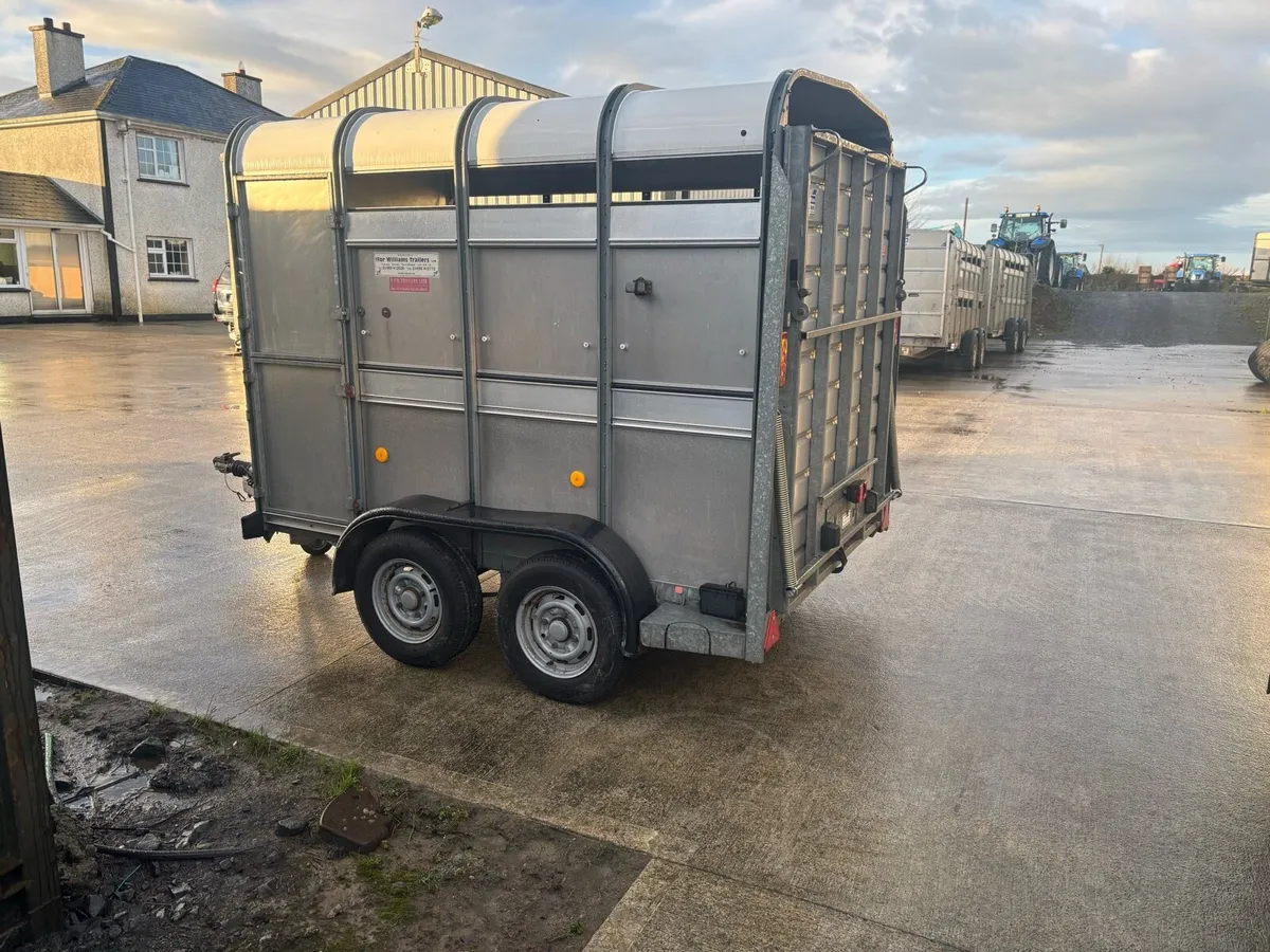 Ifor Williams & Hudson 8x5 & 10x5 Trailers - Image 2