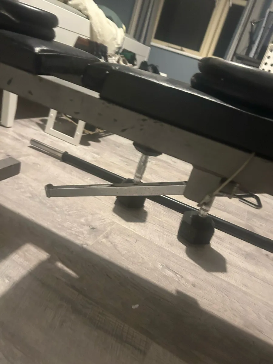 Complete gym,Dumbbells, barbell, weights and bench - Image 3