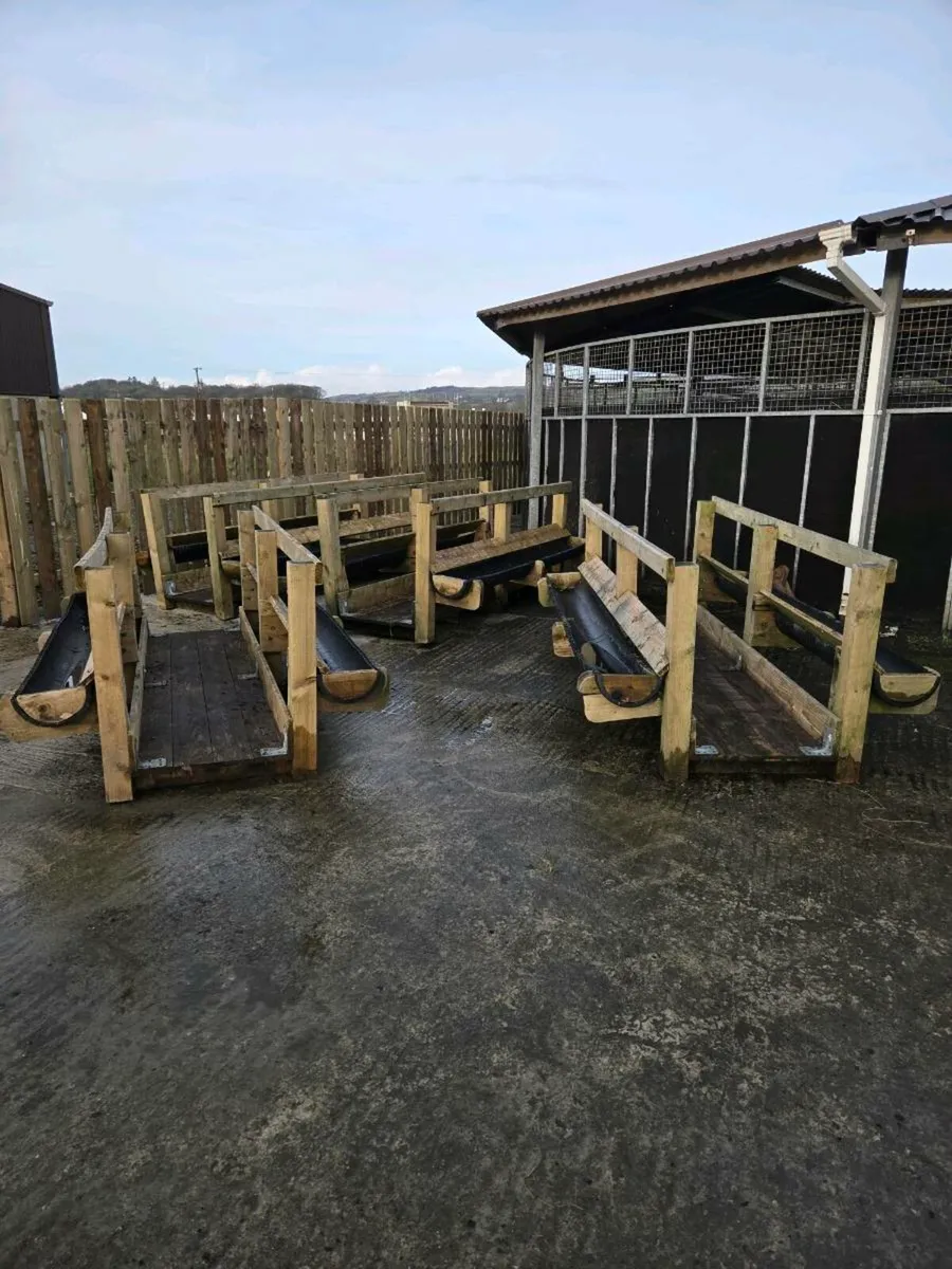 Walk threw sheep feeders - Image 2