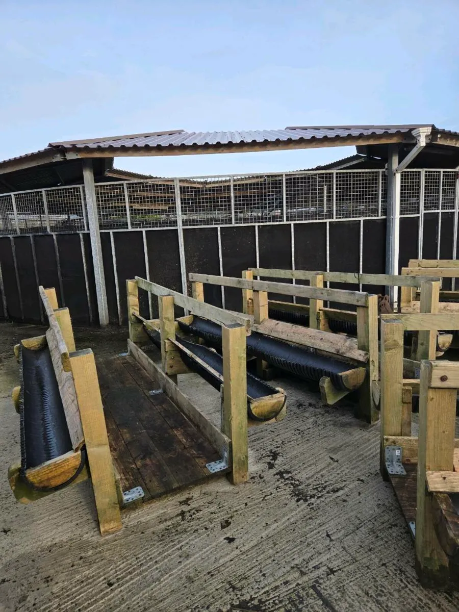 Walk threw sheep feeders - Image 3