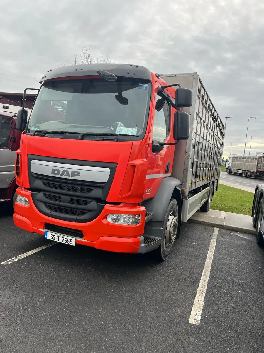 🚨 MOUNTBELLEW TUESDAY 🚨 - Image 1