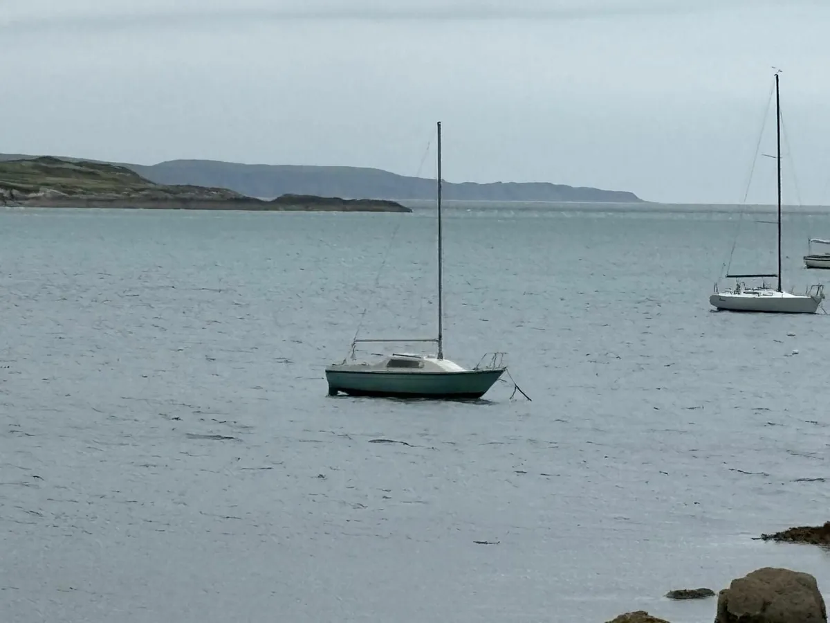 Boat, Trailer and Outboard Motor for Sale - Image 3