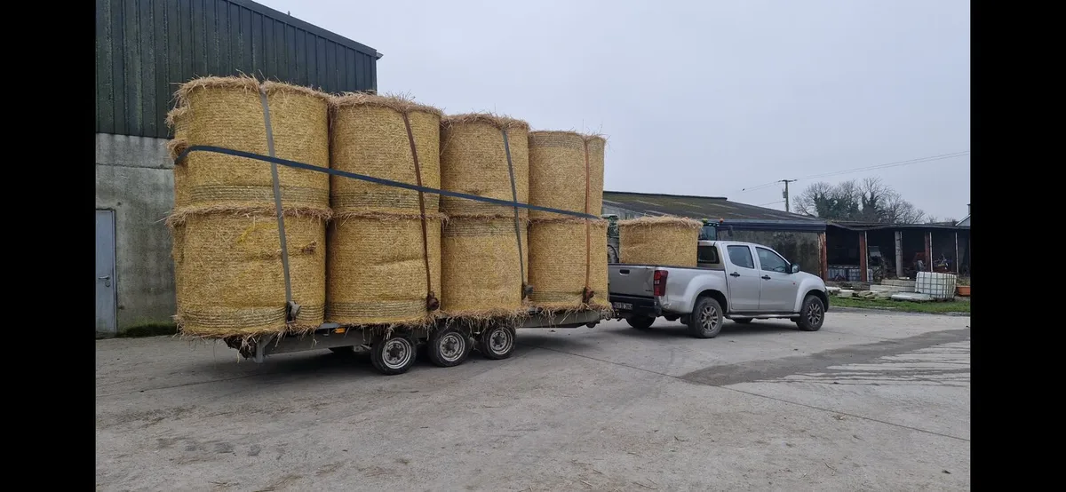 Barley, oat and wheat straw - Image 1