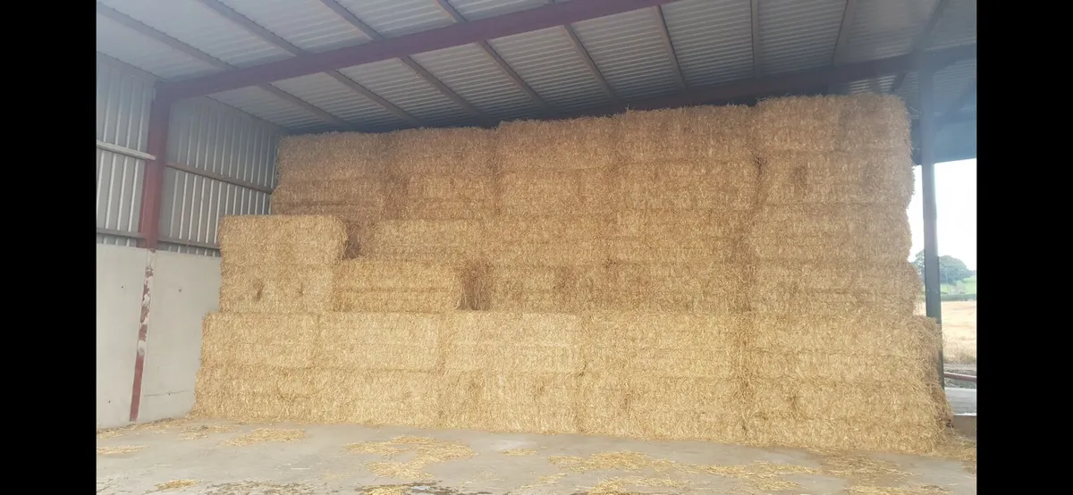 Barley, oat and wheat straw - Image 3