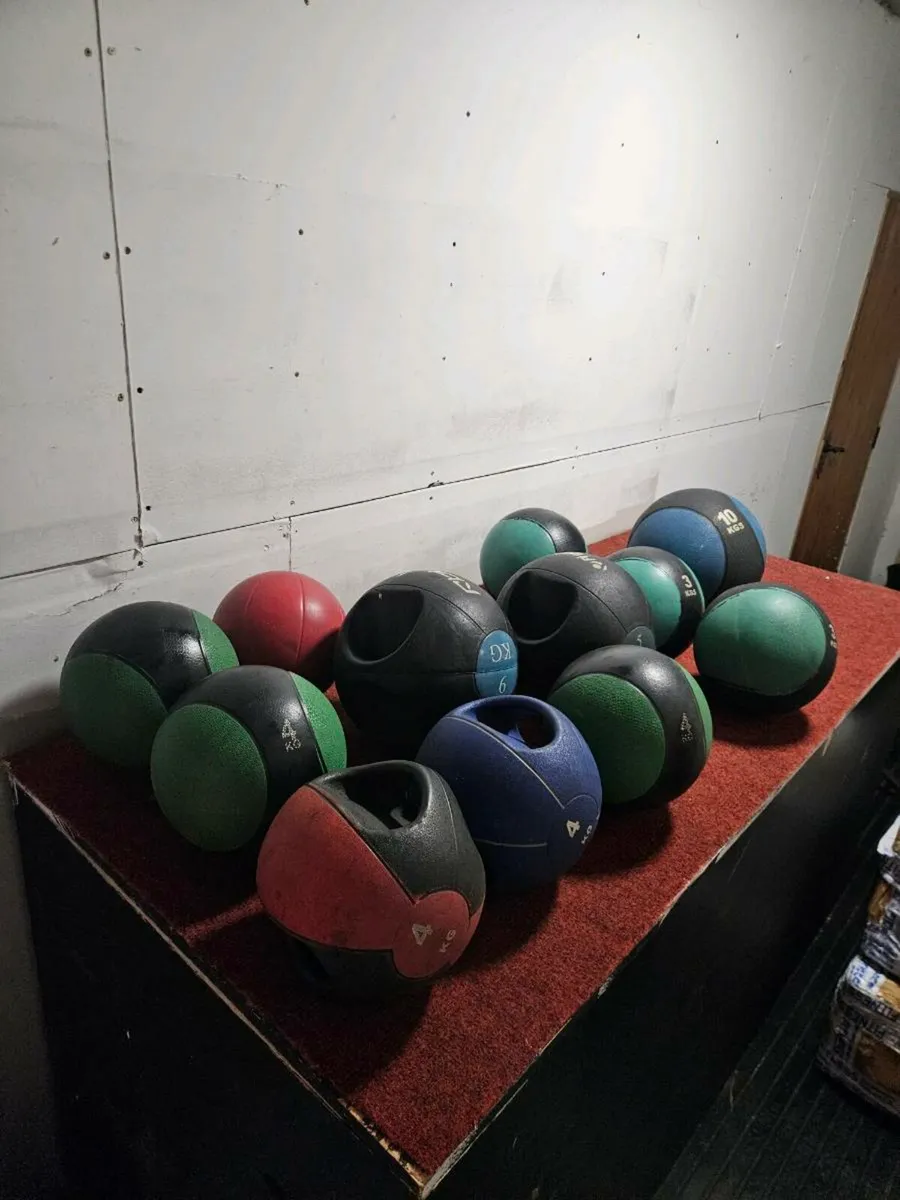 Selection of medicine balls - Image 1