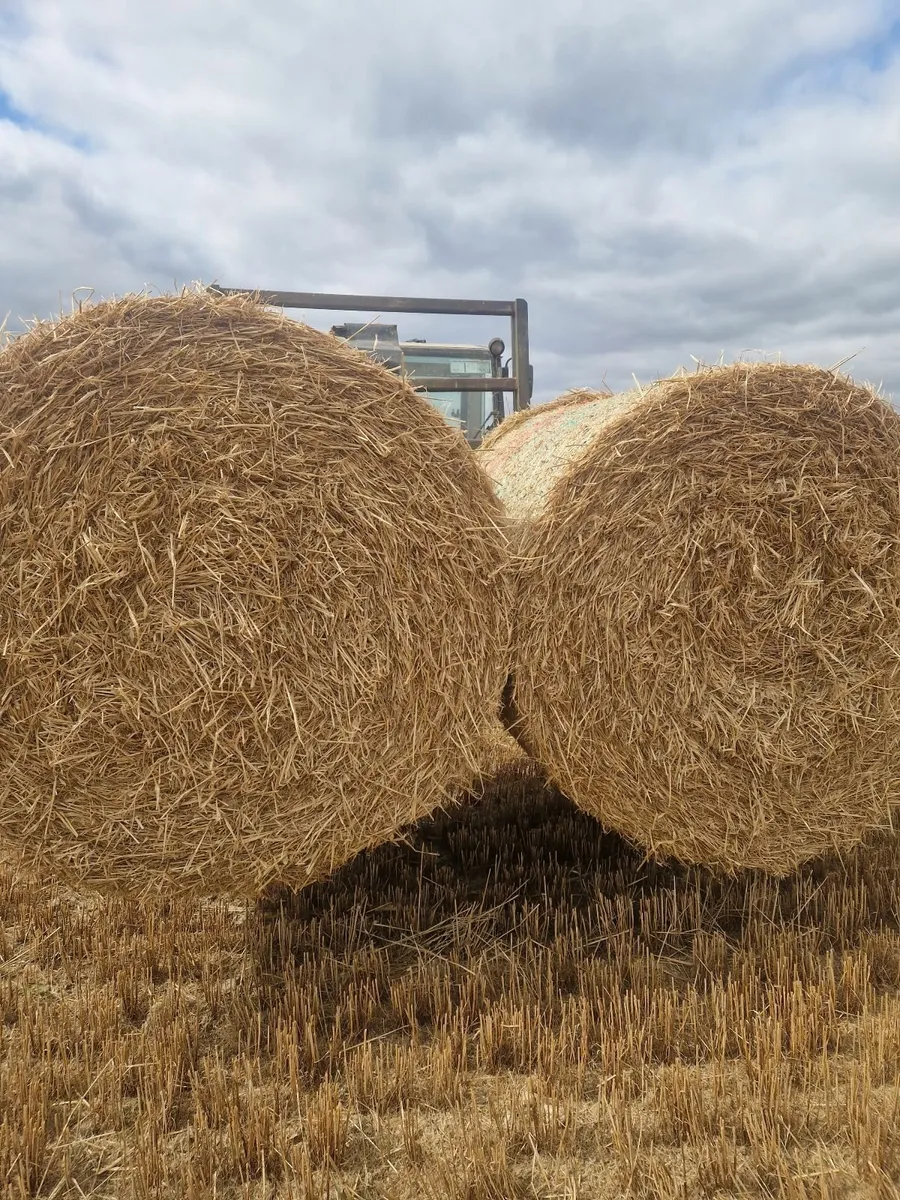 Barley rounds + Wheaten (8×4×3) straw - Image 3