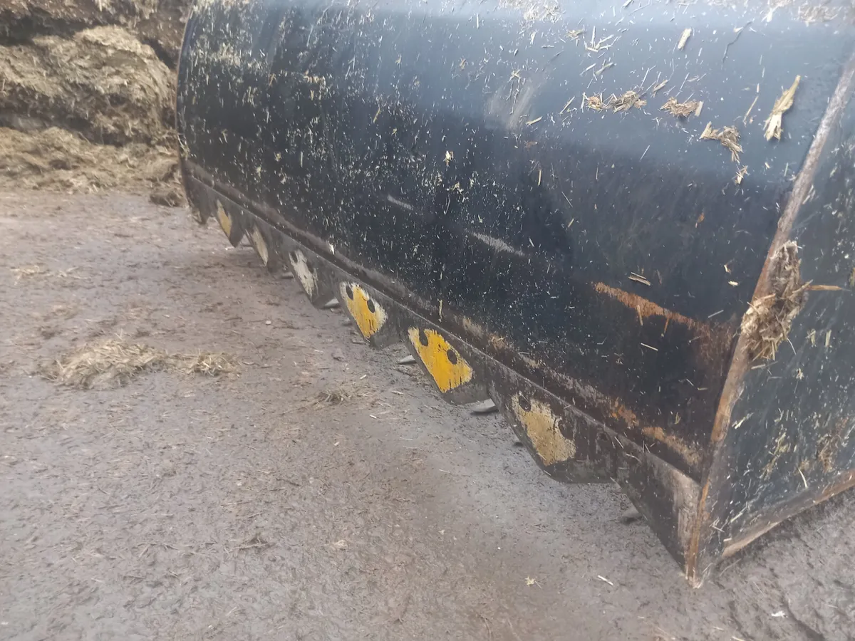 Quickie Shear Grab - Image 2