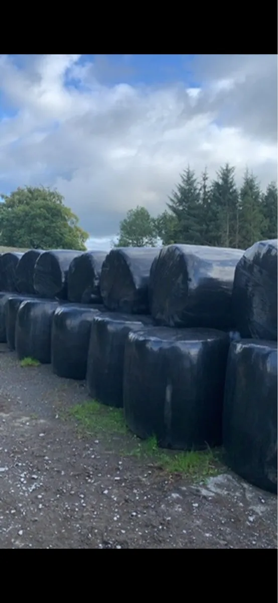 50 bales of silage