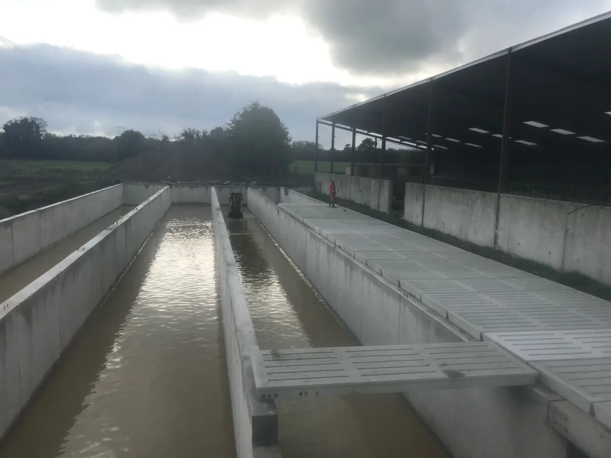 Cattle slats - Image 4