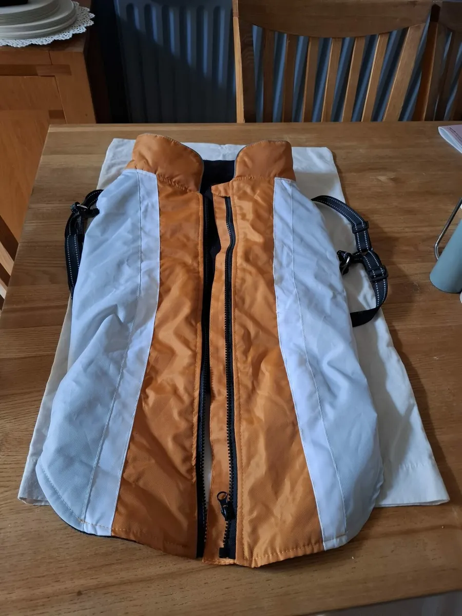 Dog coat and garness - Image 1