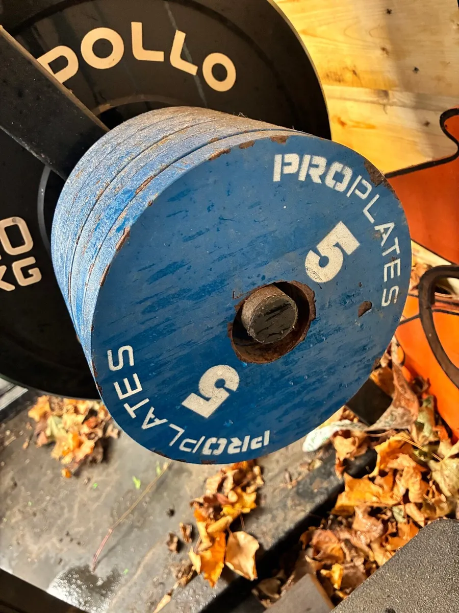 Gym set up - Image 4