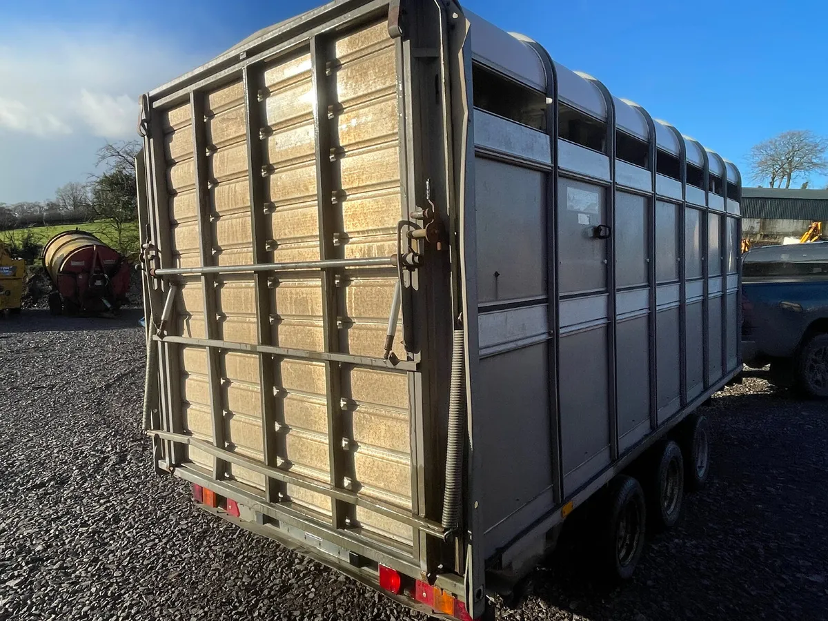 Ifor Williams 14ft x 6ft 6” Tri axle dp - Image 3