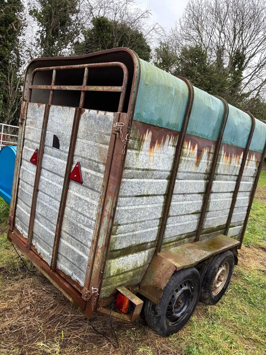 8x4 NEED GONE ASAP - Image 2