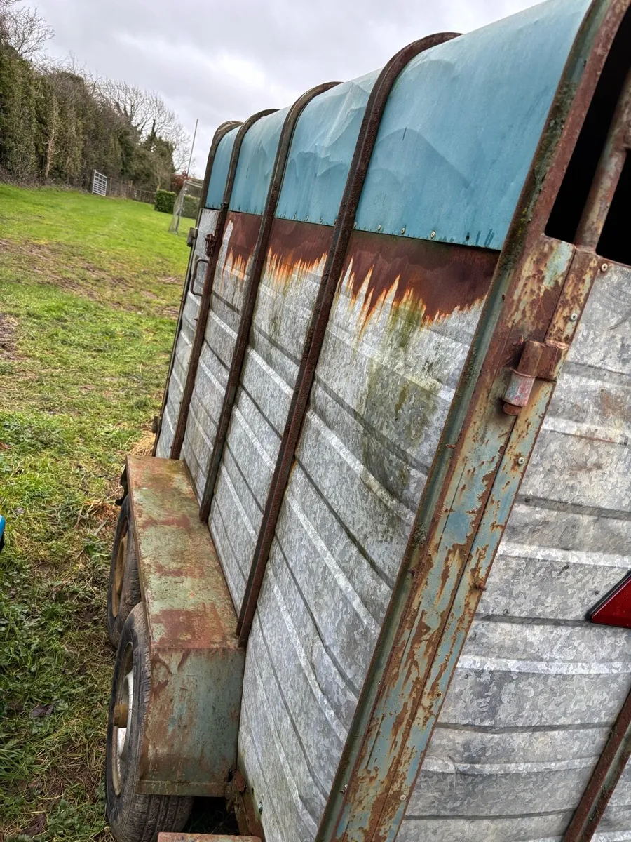 8x4 NEED GONE ASAP - Image 4