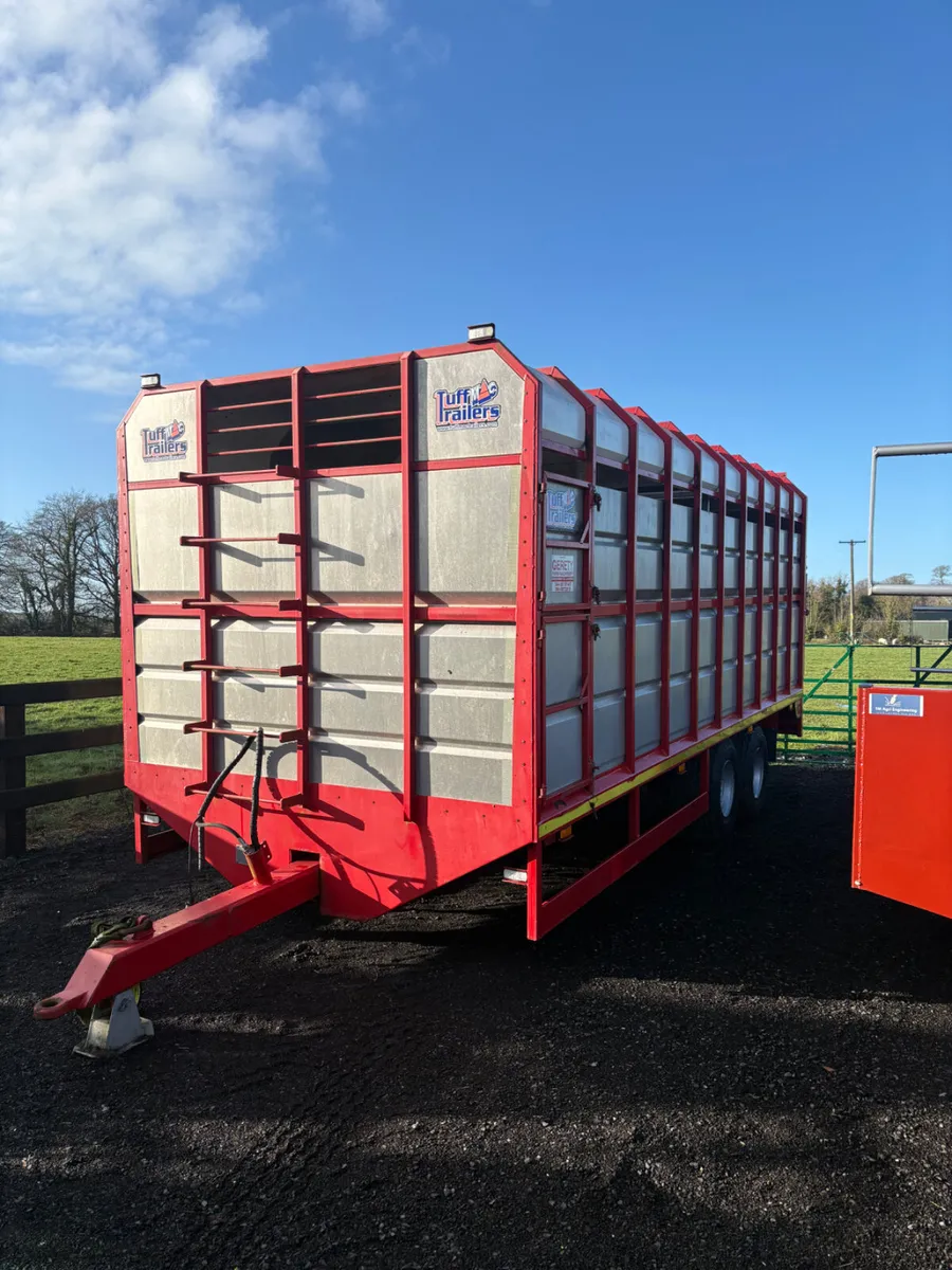 Tuffmac Cattle Trailer - Image 4