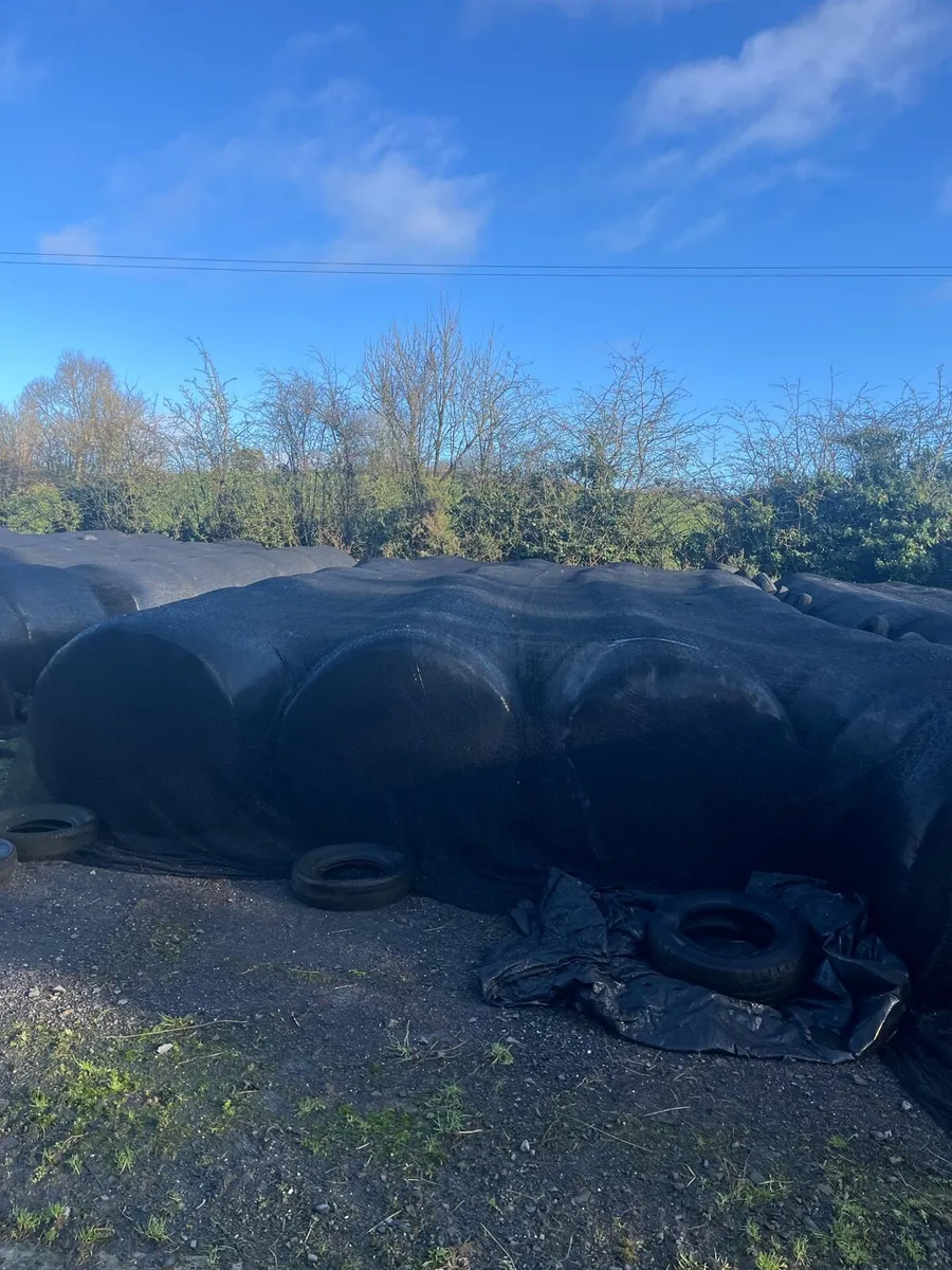 Round bales of Haylage - Image 3