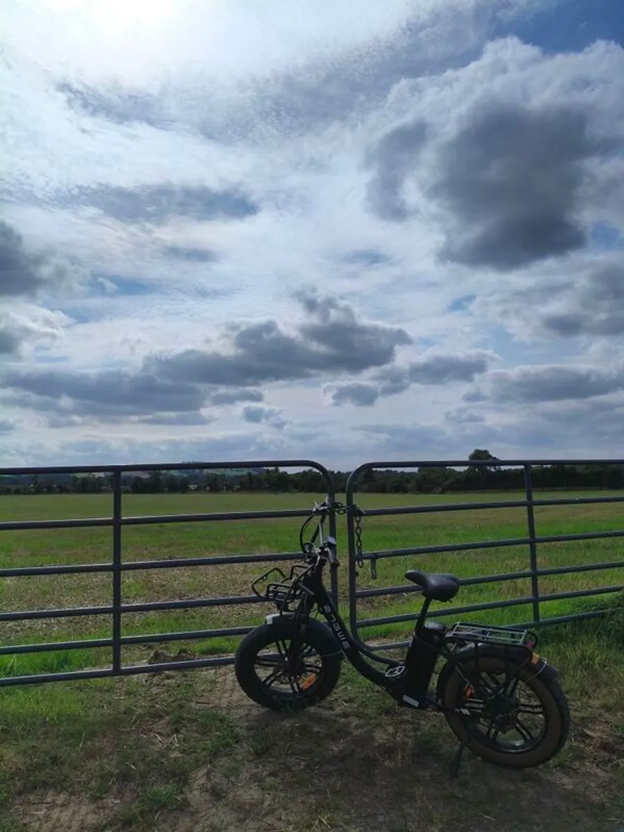 E-bike - Image 2