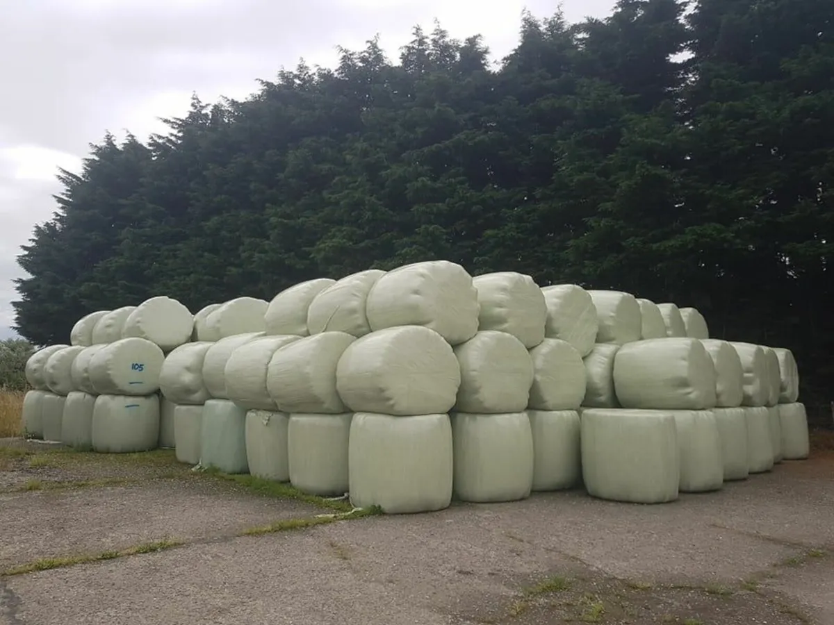 Silage For Sale - Image 1
