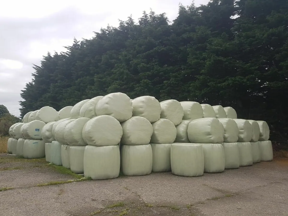 Silage For Sale - Image 2