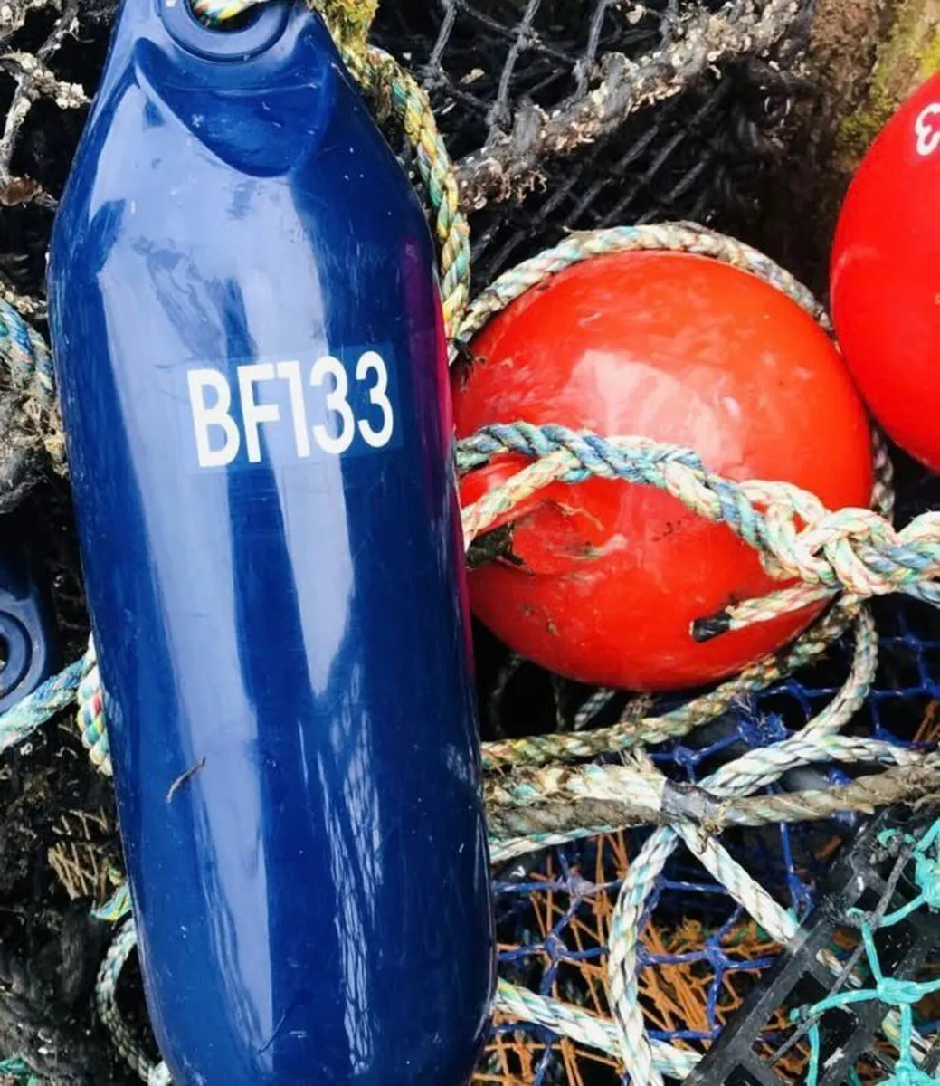 Net buoys and balls .. Any colour plus text - Image 1