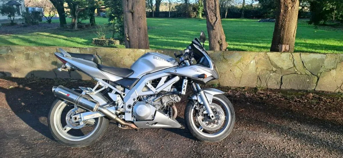 2005 Suzuki SV 1000 S - Image 1