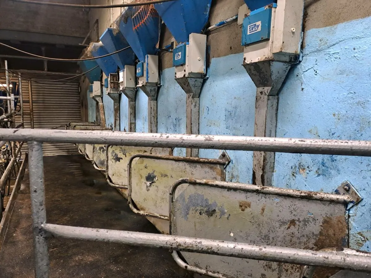 Milking parlour - Image 2
