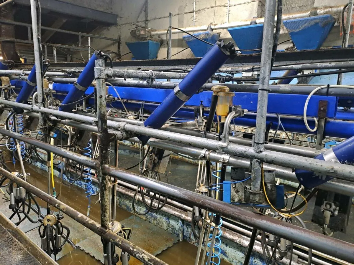 Milking parlour - Image 3