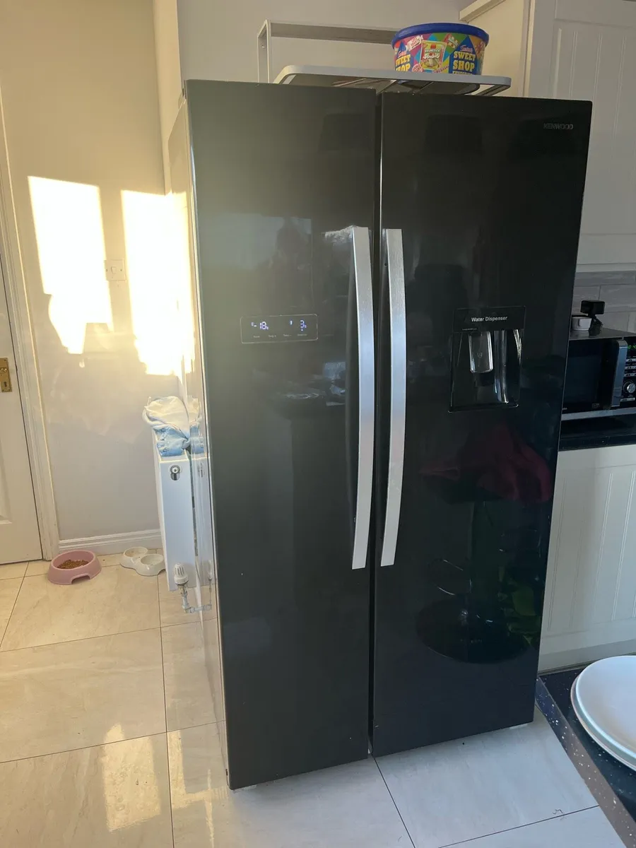 American fridge freezer - Image 3