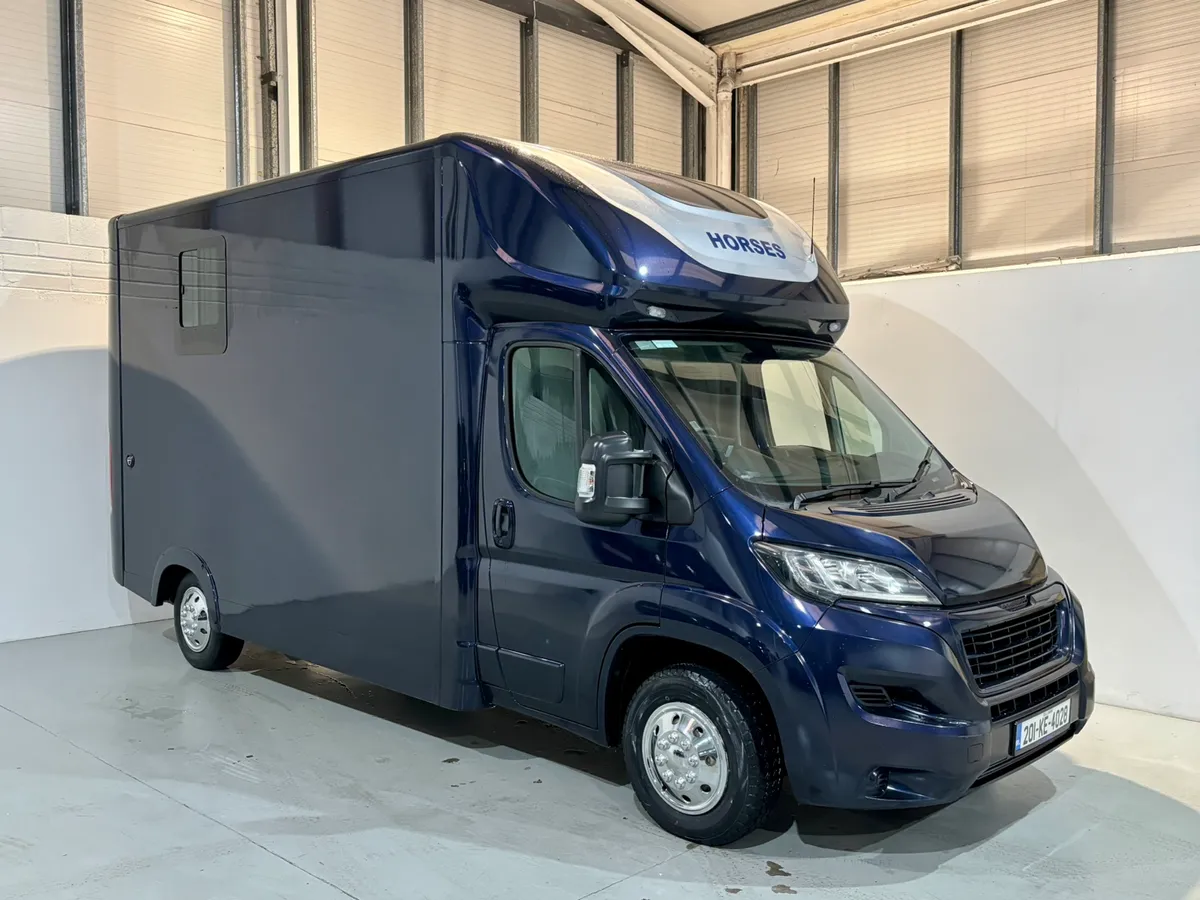 2020 Peugeot Boxer Stallion Box - Image 1