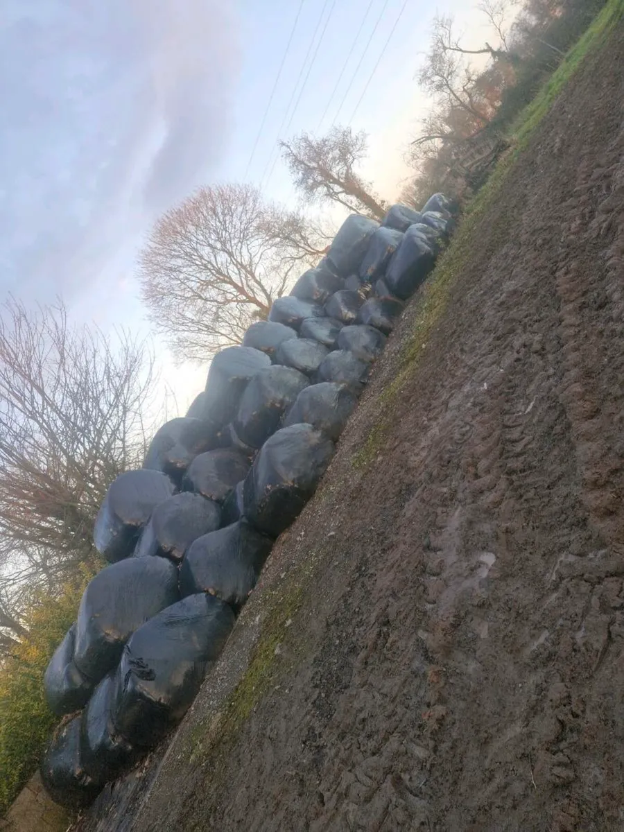 First and second cut silage - Image 1