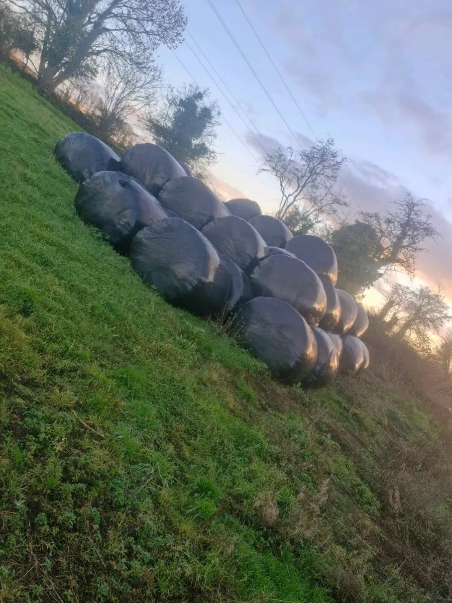 First and second cut silage - Image 2